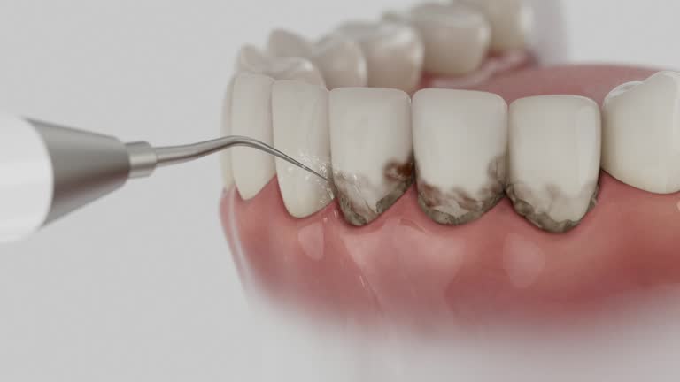 Reliable Dental contractor in Farmington Hills, MI by Dentist Open Now